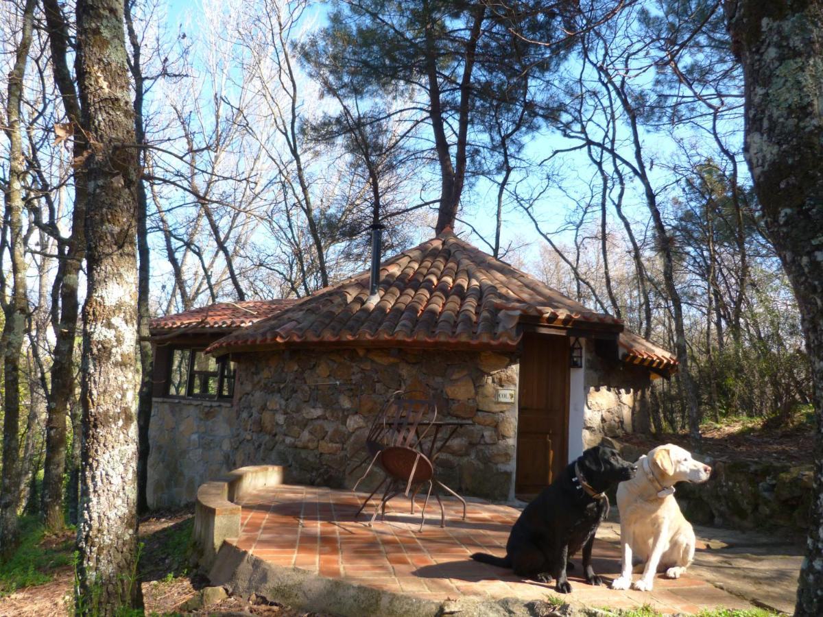 Casa Rural Crisol Spa Arenas de San Pedro Buitenkant foto