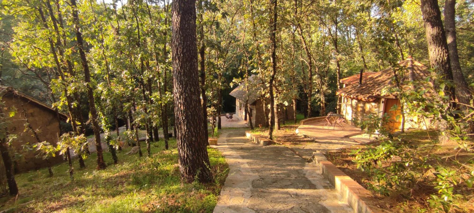 Casa Rural Crisol Spa Arenas de San Pedro Buitenkant foto