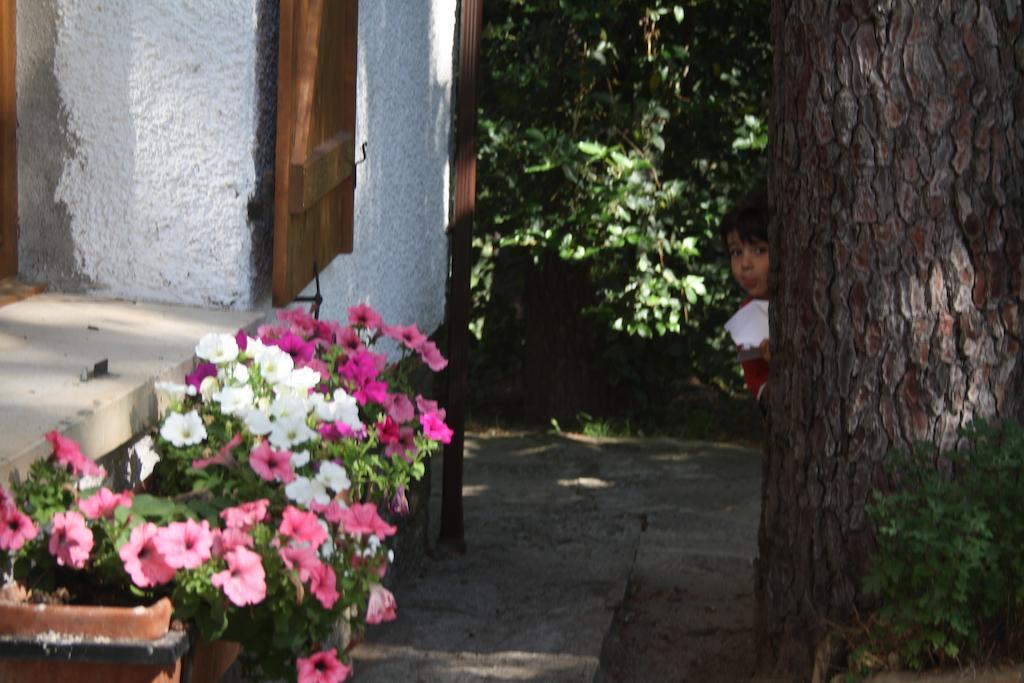 Casa Rural Crisol Spa Arenas de San Pedro Buitenkant foto