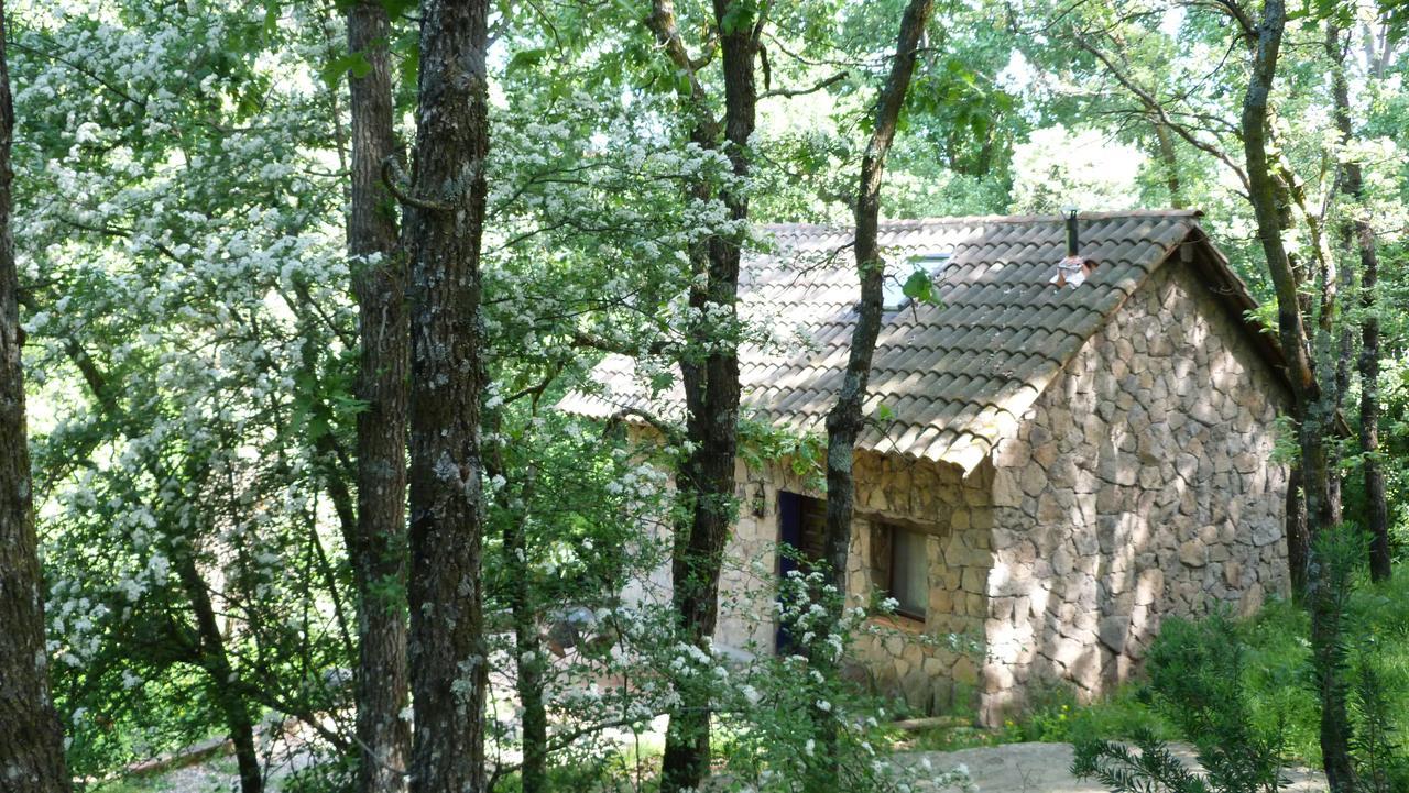 Casa Rural Crisol Spa Arenas de San Pedro Buitenkant foto